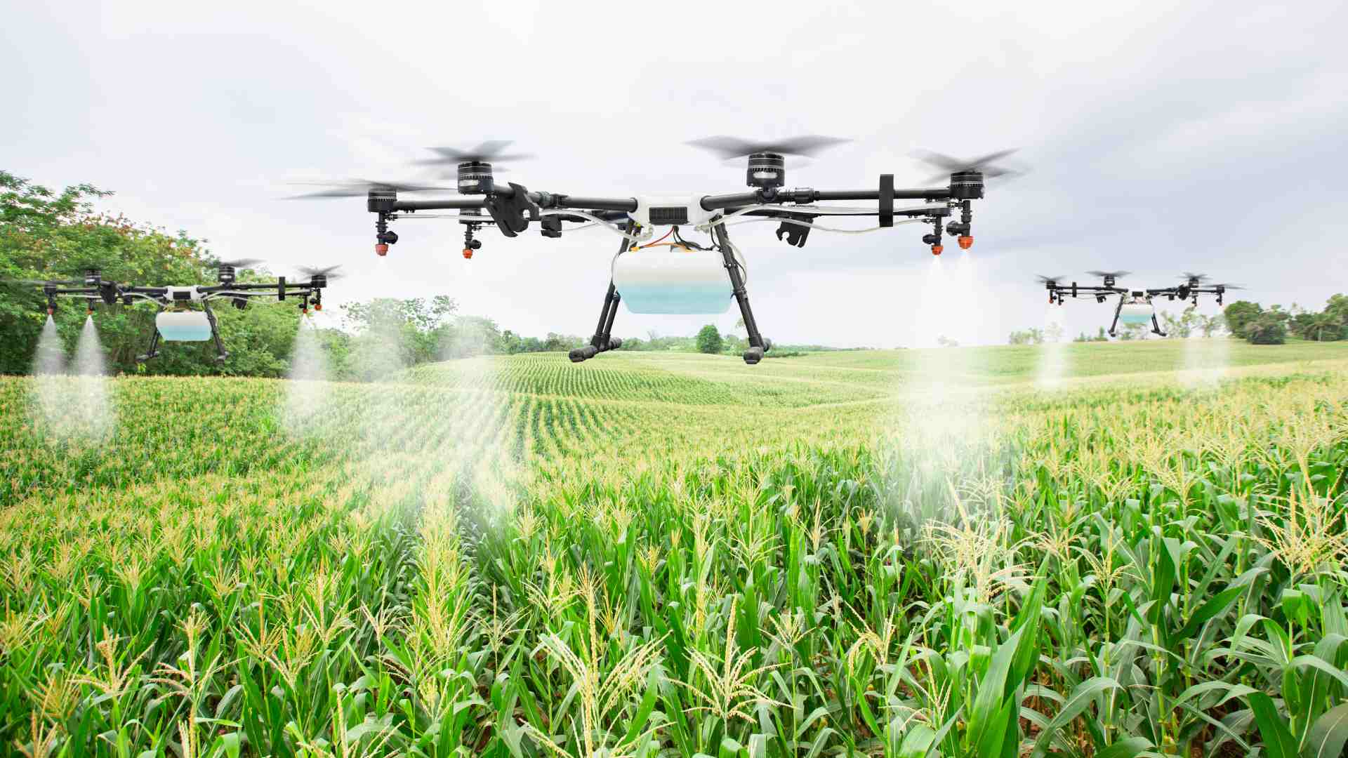 AgriTech Revolution: Transforming African Agriculture Through Digital Literacy